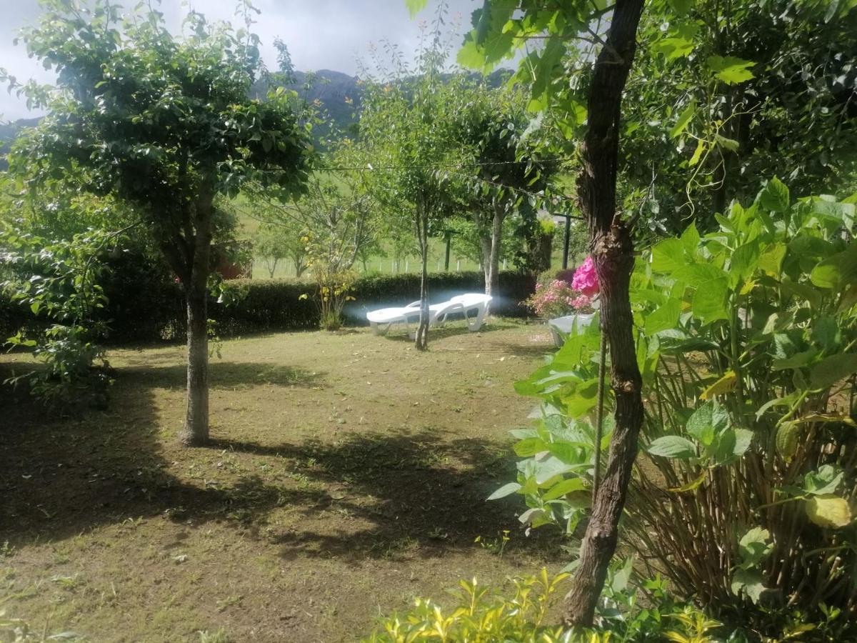 Apartamentos Casa Rural La Quintana Inguanzo Arenas De Cabrales Dış mekan fotoğraf